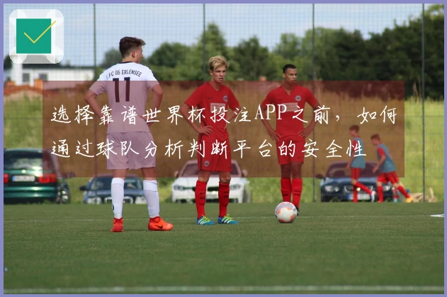 选择靠谱世界杯投注APP之前，如何通过球队分析判断平台的安全性