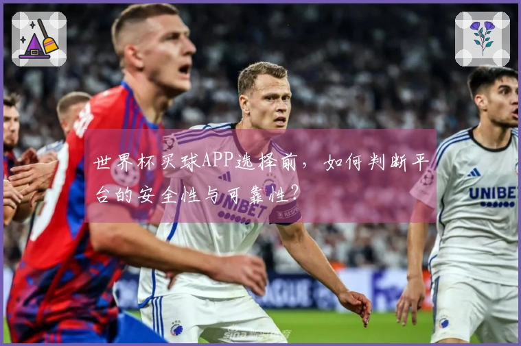 世界杯买球APP选择前，如何判断平台的安全性与可靠性？