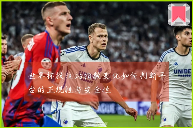 世界杯投注站指数变化如何判断平台的正规性与安全性