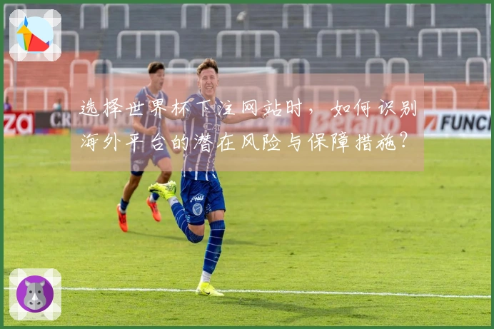 选择世界杯下注网站时，如何识别海外平台的潜在风险与保障措施？
