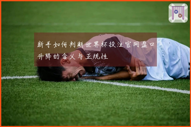 新手如何判断世界杯投注官网盘口升降的含义与正规性