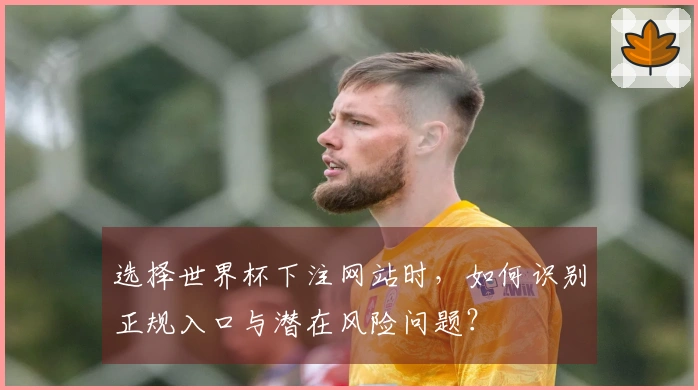 选择世界杯下注网站时，如何识别正规入口与潜在风险问题？