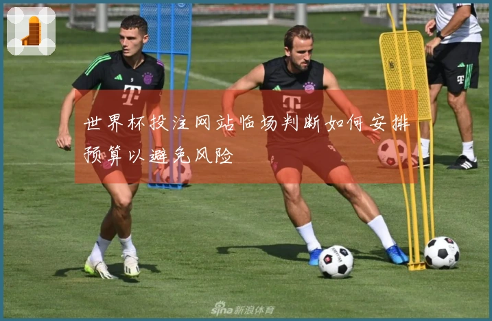 世界杯投注网站临场判断如何安排预算以避免风险